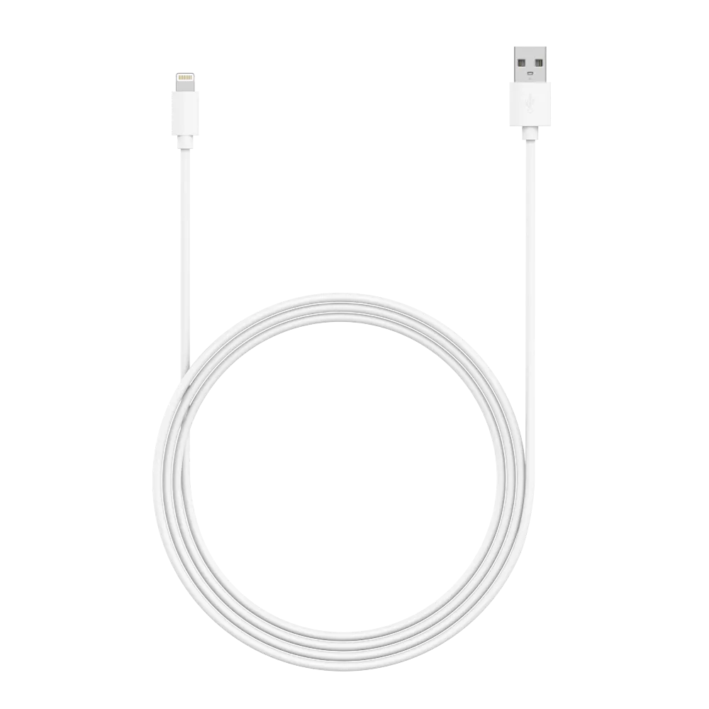 10ft Apple Lightning Cable