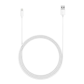 10ft Apple Lightning Cable