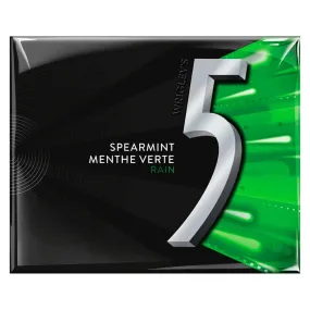 5 GUM Spearmint Rain - 15 Sticks