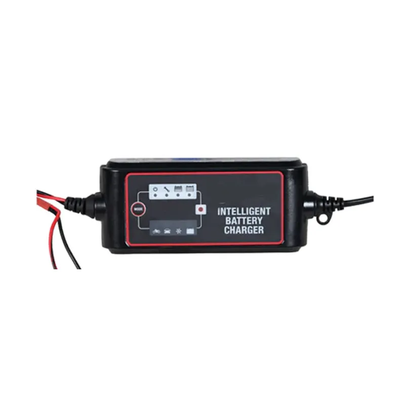 6V/12V Versatile Dual Voltage Battery Charger Gcharg-104