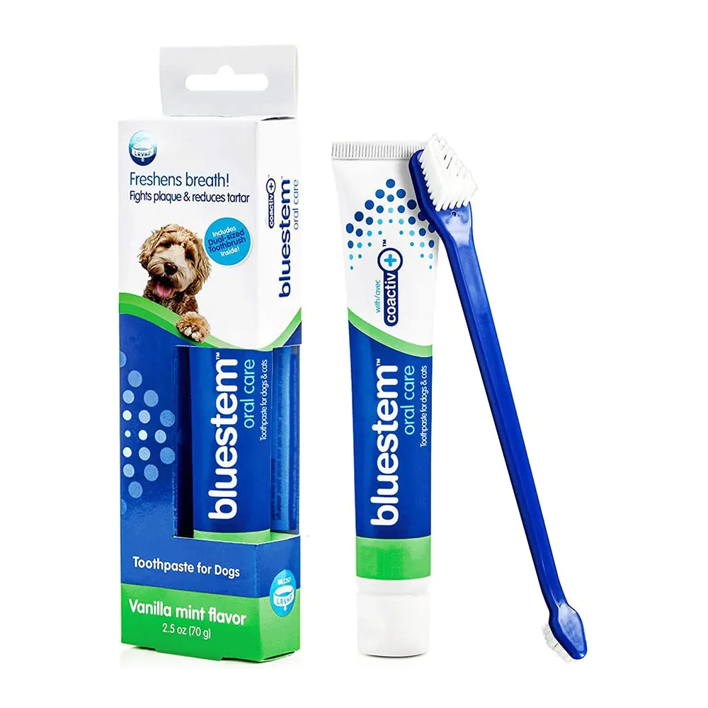 BLUESTEM ORAL CARE: TOOTHBRUSH & TOOTHPASTE PACK