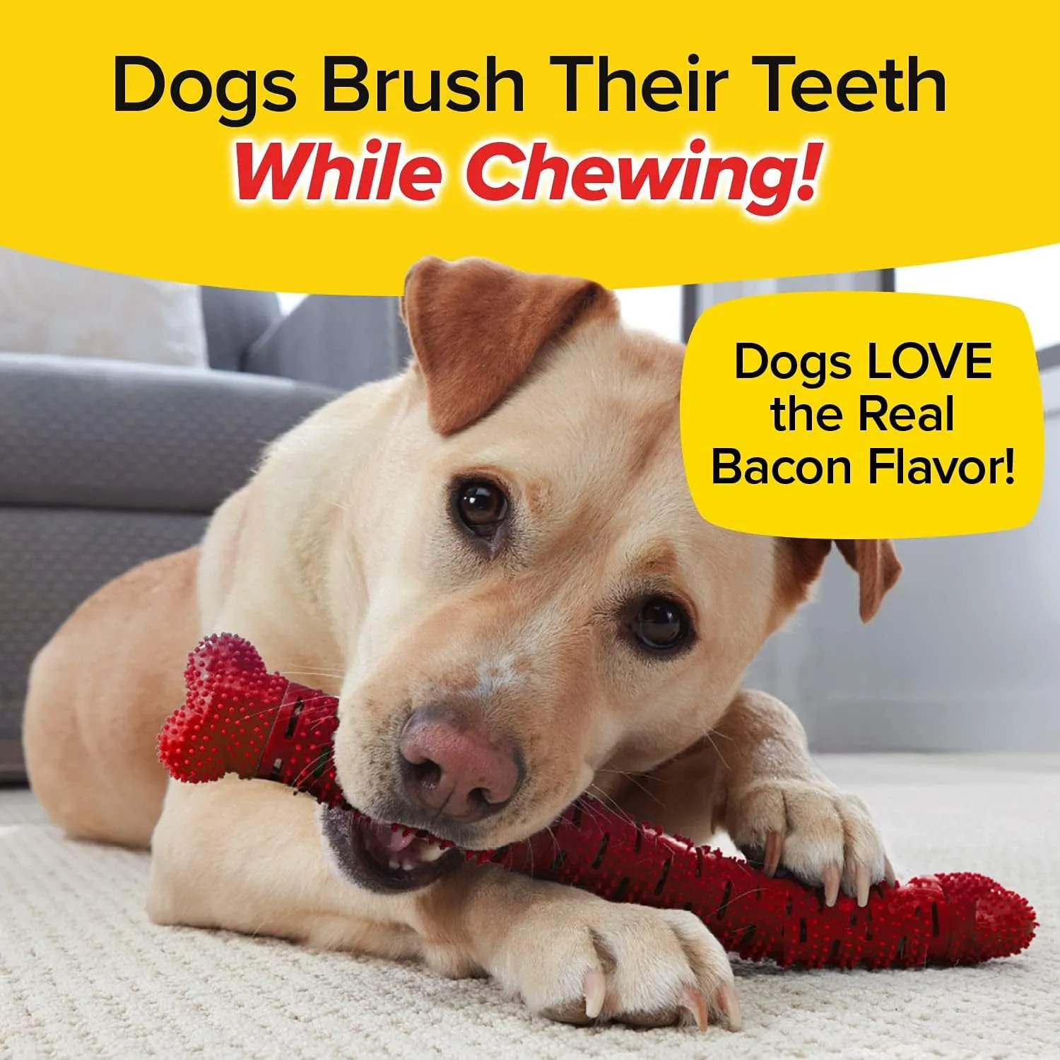 BrushBone - Dog Toothbrush Bone - Bacon Bonanza - 6 Pack