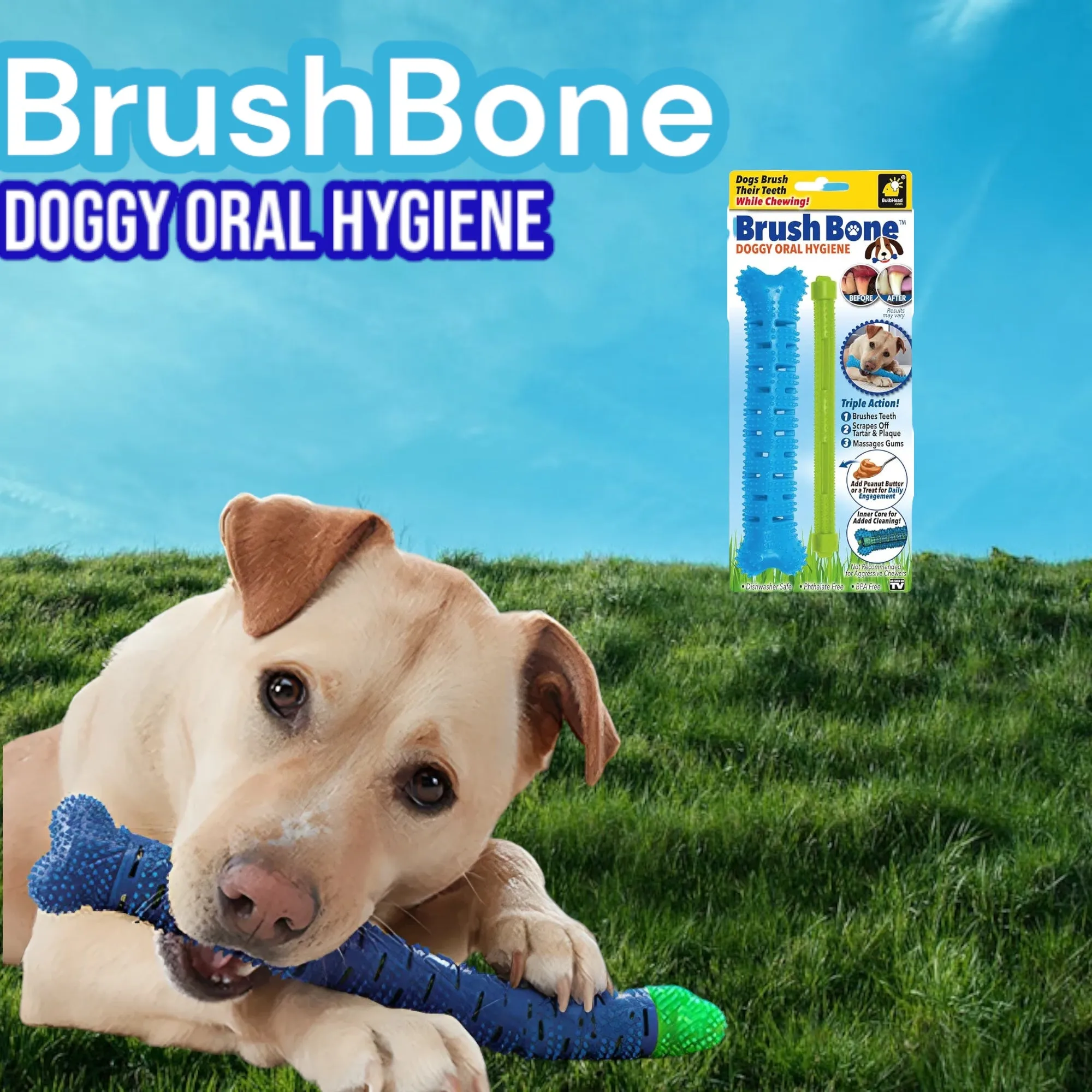 BrushBone - Dog Toothbrush Bone