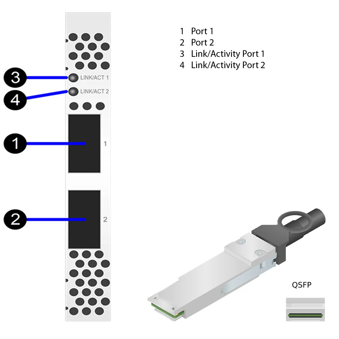 NetApp Adapter X1146A (ONTAP) PCIe3 bus with plug QSFP28 (2p 100GbE iWARP QSFP28)