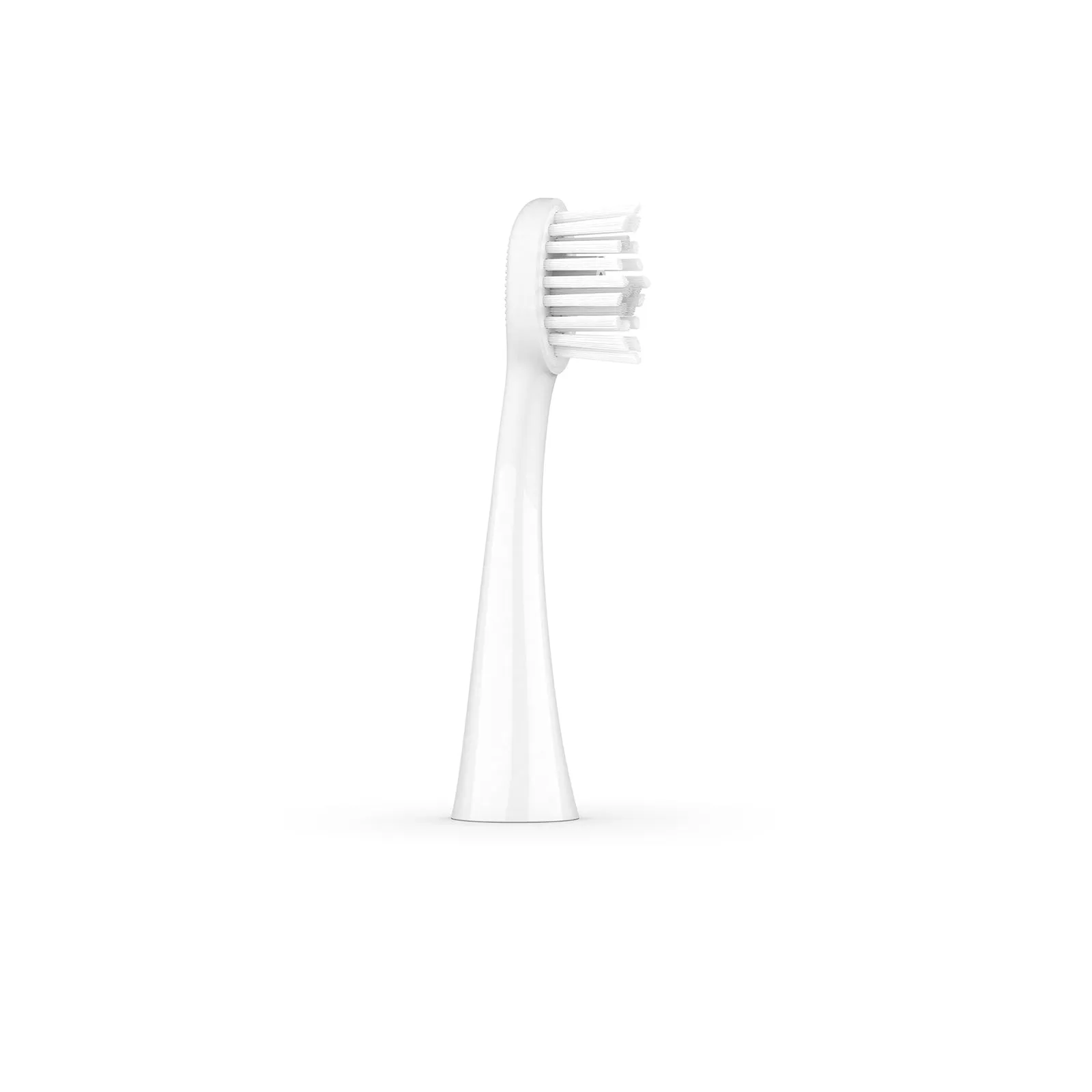 Ordo Sonic  Toothbrush & 4x Brush Head Bundle - White/Silver