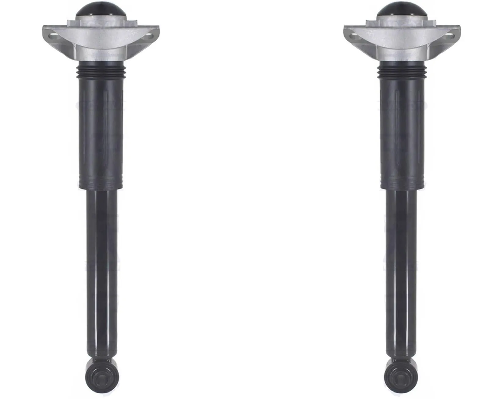 Rear Left & Right Complete Shocks Absorber For Toyota Corolla 2019-2022